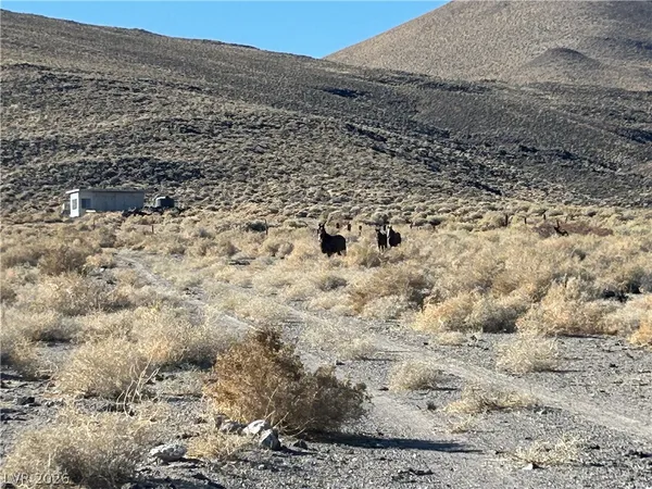 $599,000 | 0 Sand Springs Road, Dyer, NV 89010