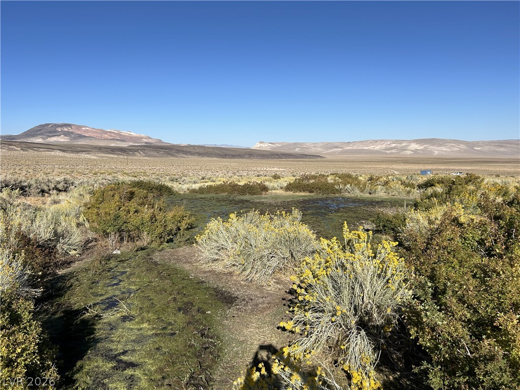 0 Sand Springs Road Dyer, NV 89010 - Photo 22 of 27