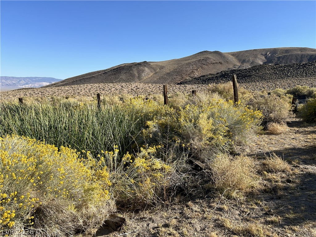 0 Sand Springs Road Dyer, NV 89010 - Photo 24 of 27