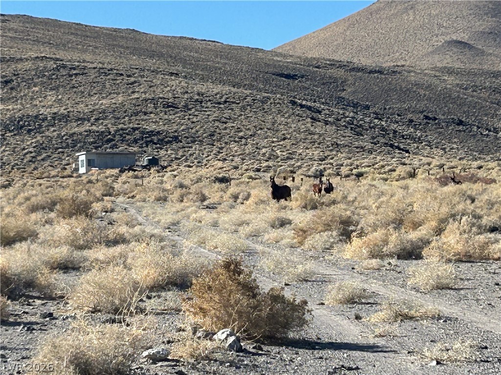 0 Sand Springs Road Dyer, NV 89010 - Photo 4 of 27