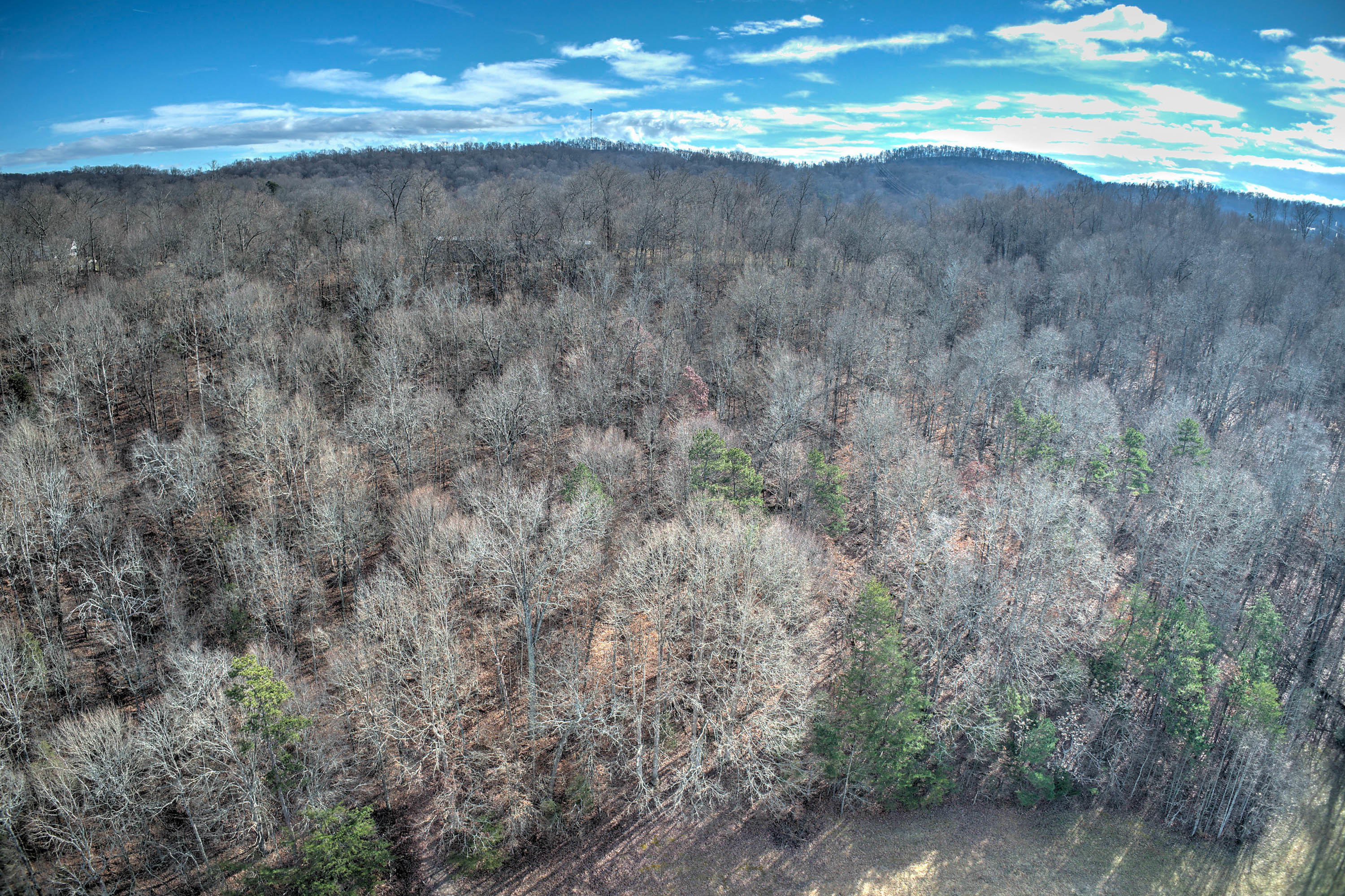 5.31-ac Jubilee Road Afton, TN 37616 - Photo 11 of 11 Jubilee Rd-10