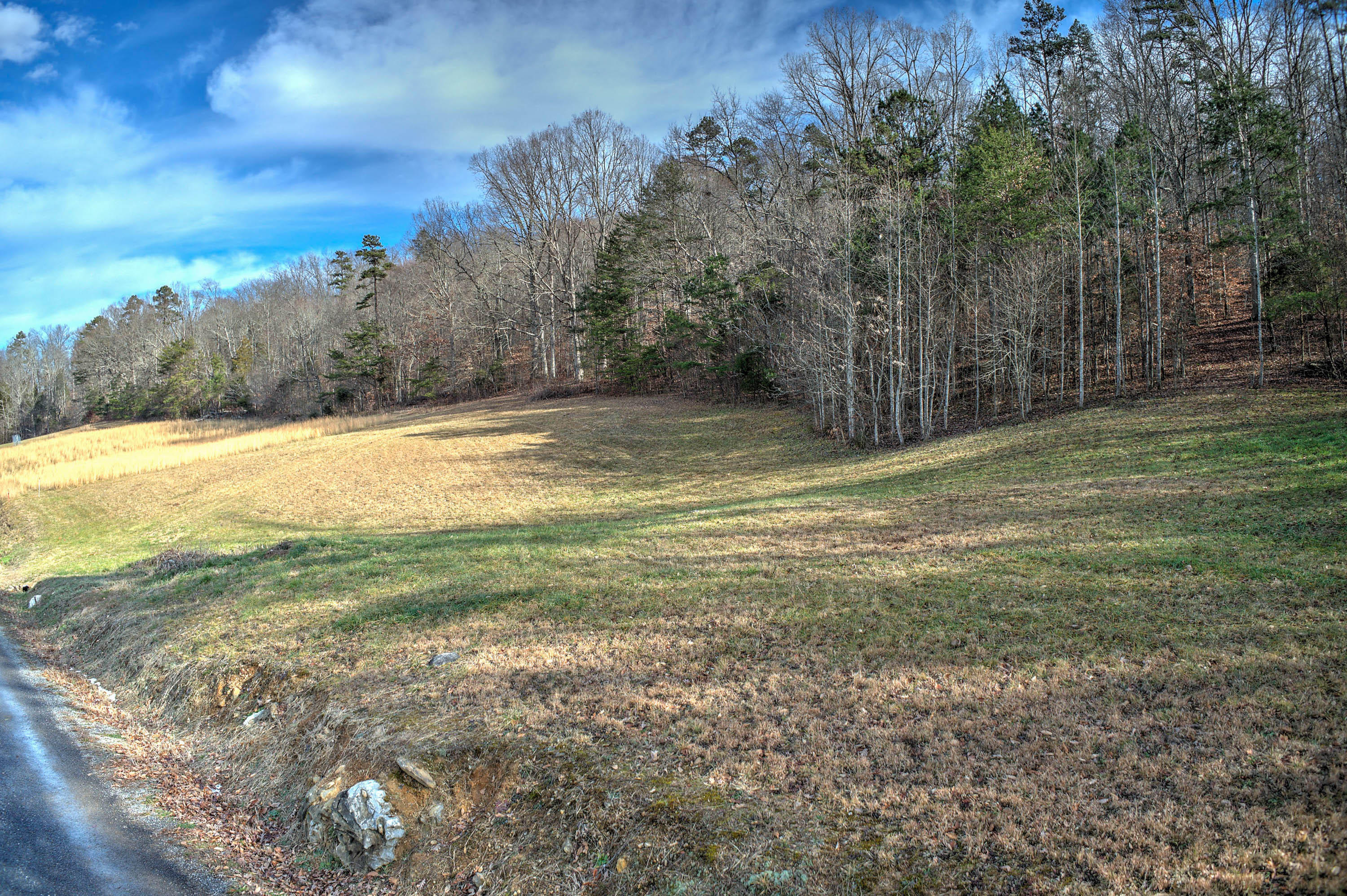 5.31-ac Jubilee Road Afton, TN 37616 - Photo 2 of 11 Jubilee Rd
