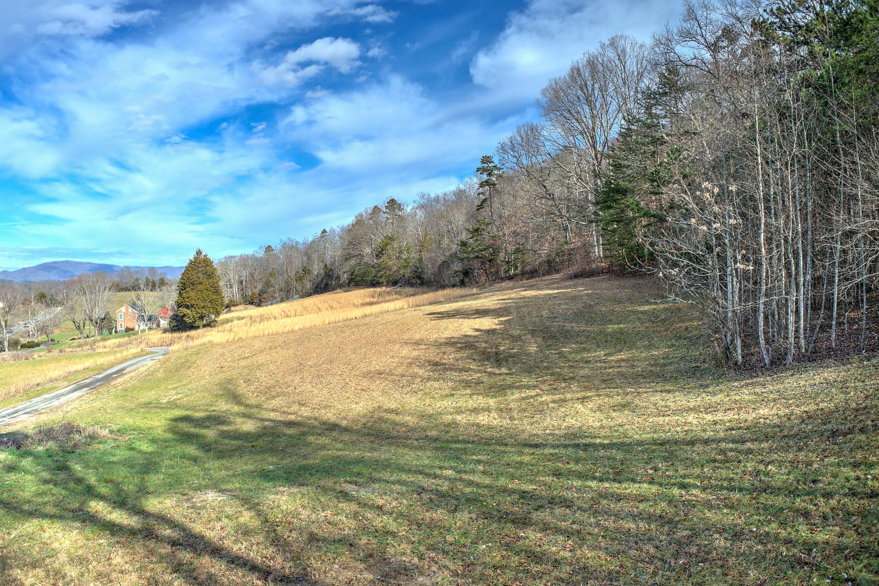 5.31-ac Jubilee Road Afton, TN 37616 - Photo 3 of 11 Jubilee Rd-2