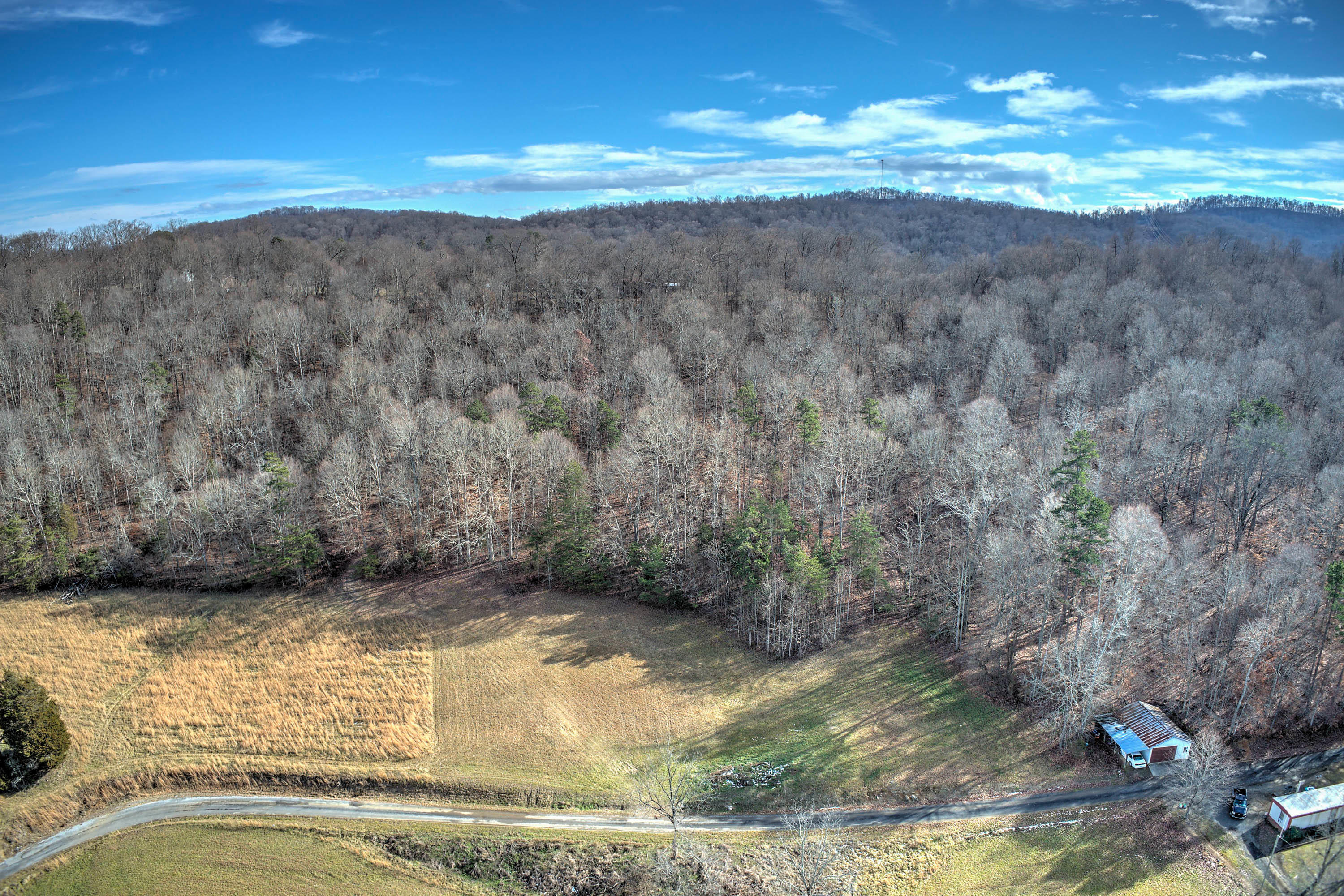 5.31-ac Jubilee Road Afton, TN 37616 - Photo 4 of 11 Jubilee Rd-3