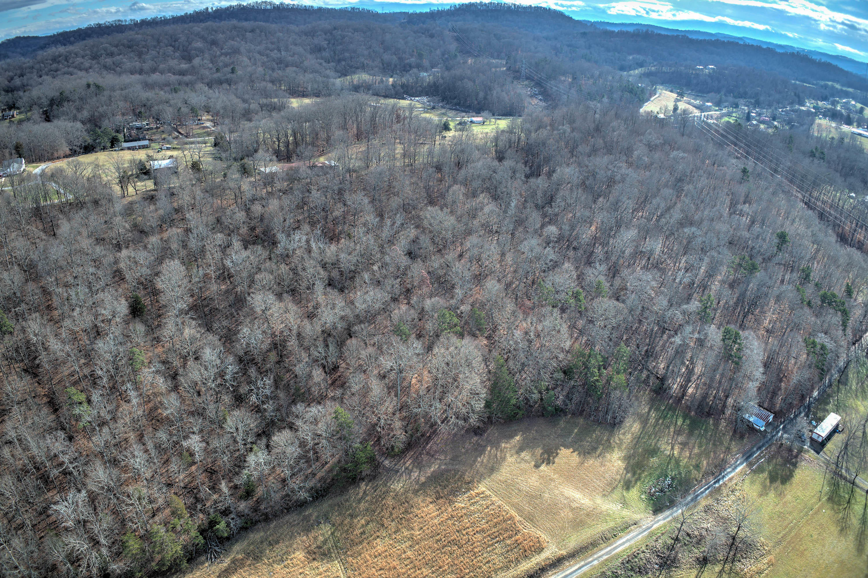 5.31-ac Jubilee Road Afton, TN 37616 - Photo 10 of 11 Jubilee Rd-9