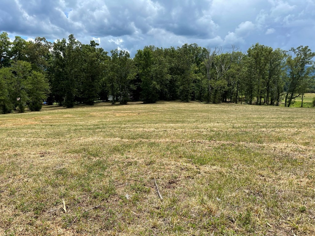 0 Keener Road Seymour, TN 37865 - Photo 14 of 16 Gallery Image 14