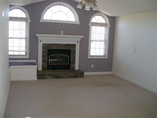 193 Chesney Place Blue Ridge, VA 24064 - Photo 5 of 10 Master BR w/ gas FP