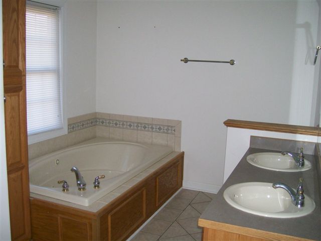 193 Chesney Place Blue Ridge, VA 24064 - Photo 7 of 10 Master Bath