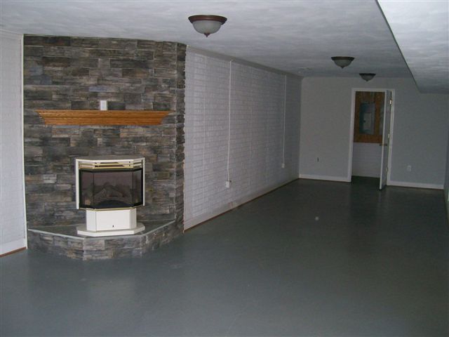 193 Chesney Place Blue Ridge, VA 24064 - Photo 8 of 10 Basement Den