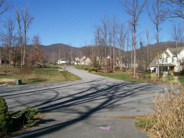193 Chesney Place Blue Ridge, VA 24064 - Photo 10 of 10 View of Street