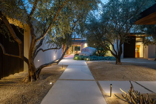 a view of a yard with plants and trees