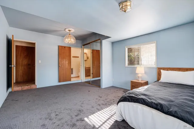 a view of a yard with plants and trees