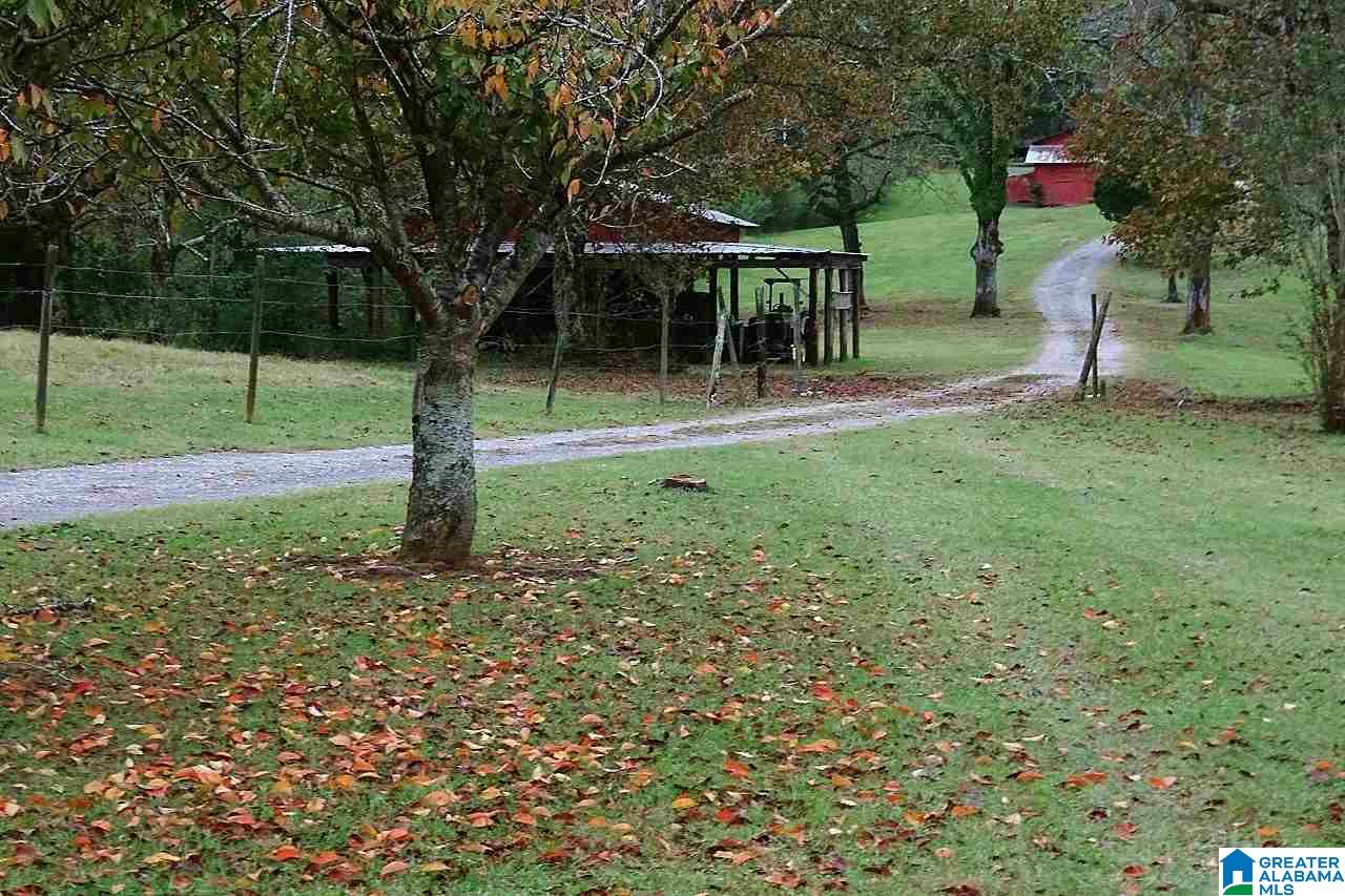 3295 Hilltop Road Bessemer, AL 35022 - Photo 3 of 11
