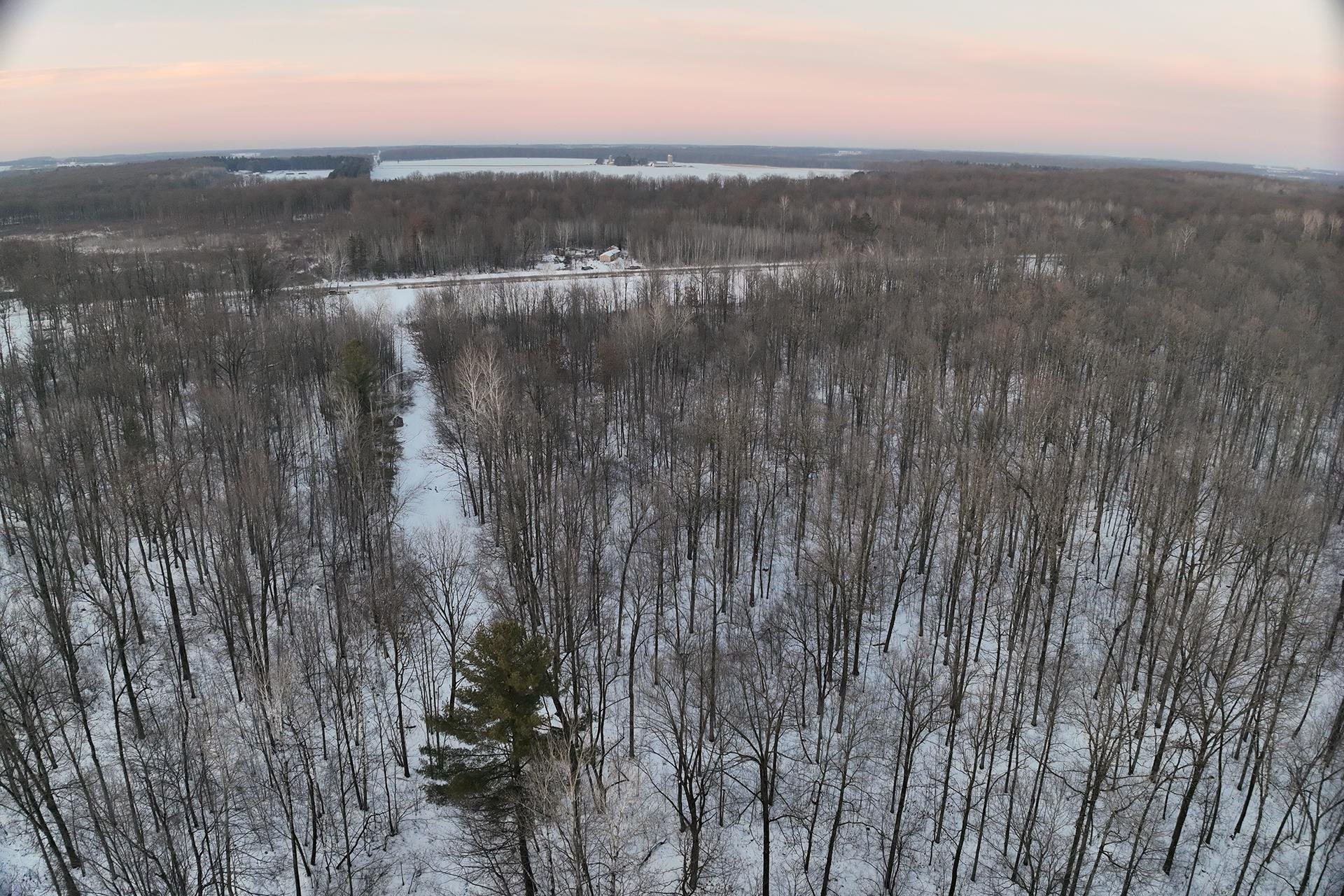 65.32-acres Bobwhite Road Neillsville, WI 54456 - Photo 6 of 26