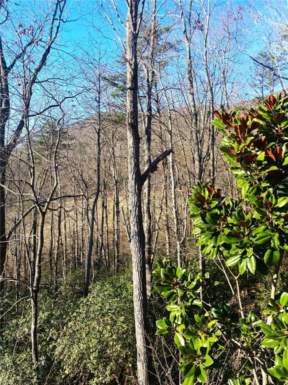 159 Prospect Road Cleveland, GA 30528 - Photo 40 of 48