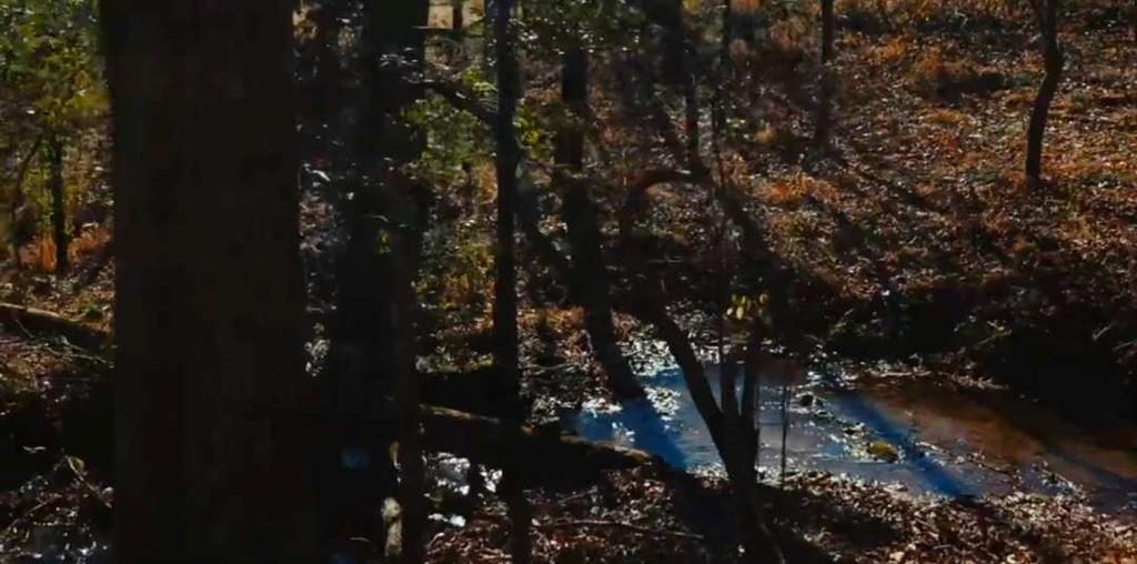 159 Prospect Road Cleveland, GA 30528 - Photo 45 of 48