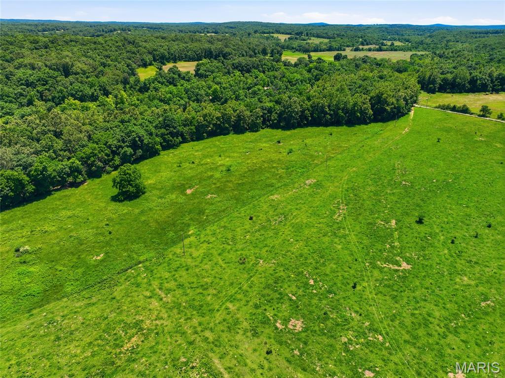 0 Pleasant Hill Road Mountain Grove, MO 65711 - Photo 29 of 51