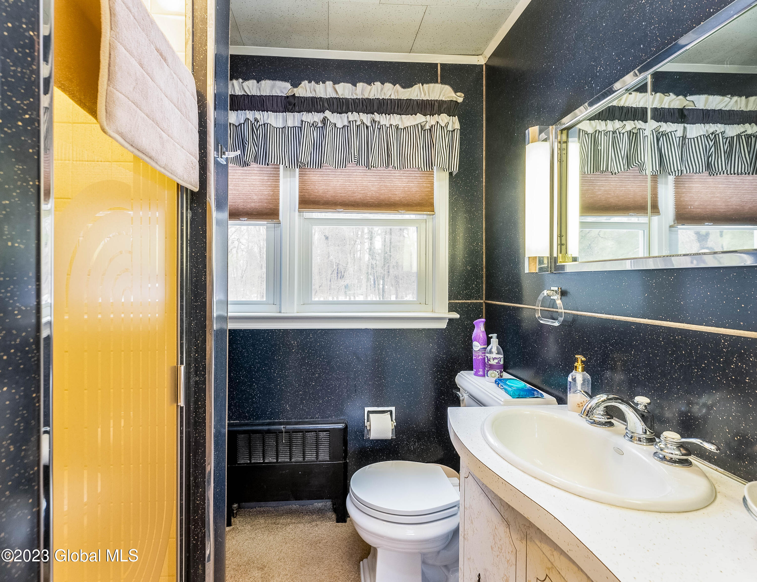 910 Mohegan Road Niskayuna, NY 12309 - Photo 25 of 48 DSC05260-Edit