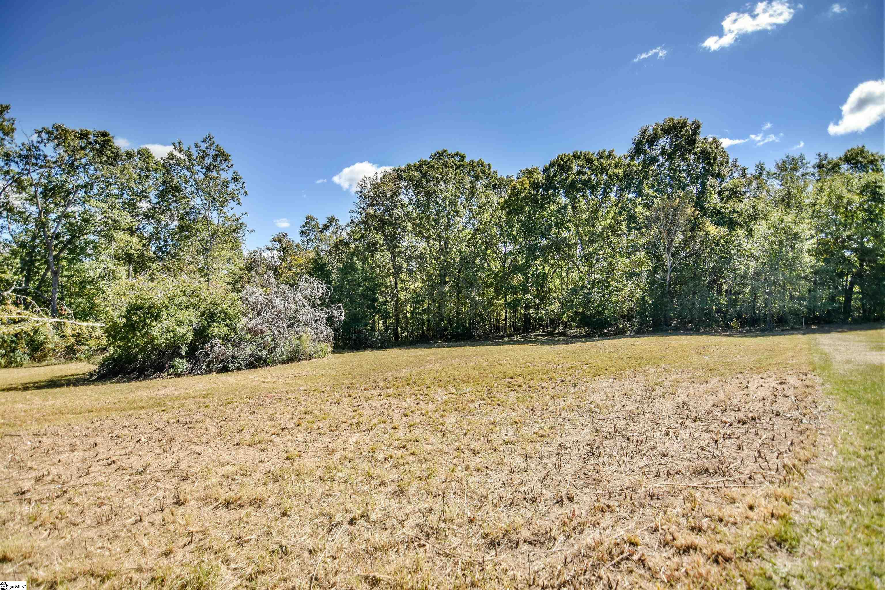 309 Hillside Church Road Fountain Inn, SC 29644 - Photo 7 of 44 Gallery Image 7