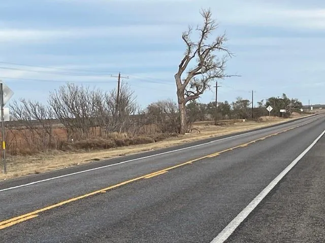 a view of a very nice looking yard