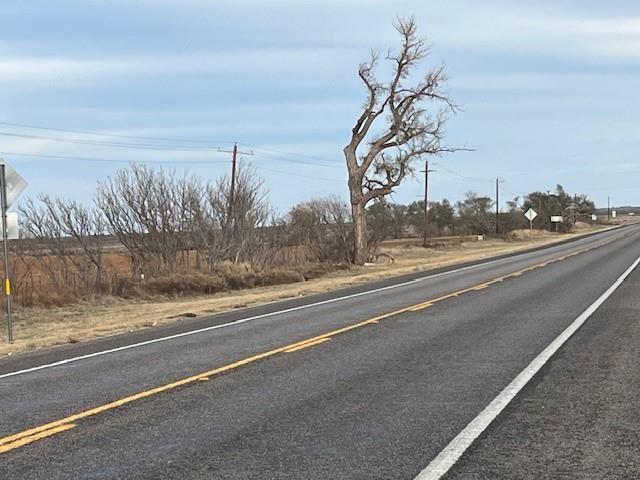 124 Fm 1224 Roby, TX 79543 - Photo 12 of 29 a view of a very nice looking yard