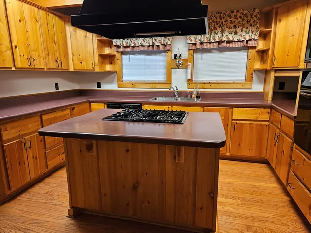 a view of a house with a yard and a large tree
