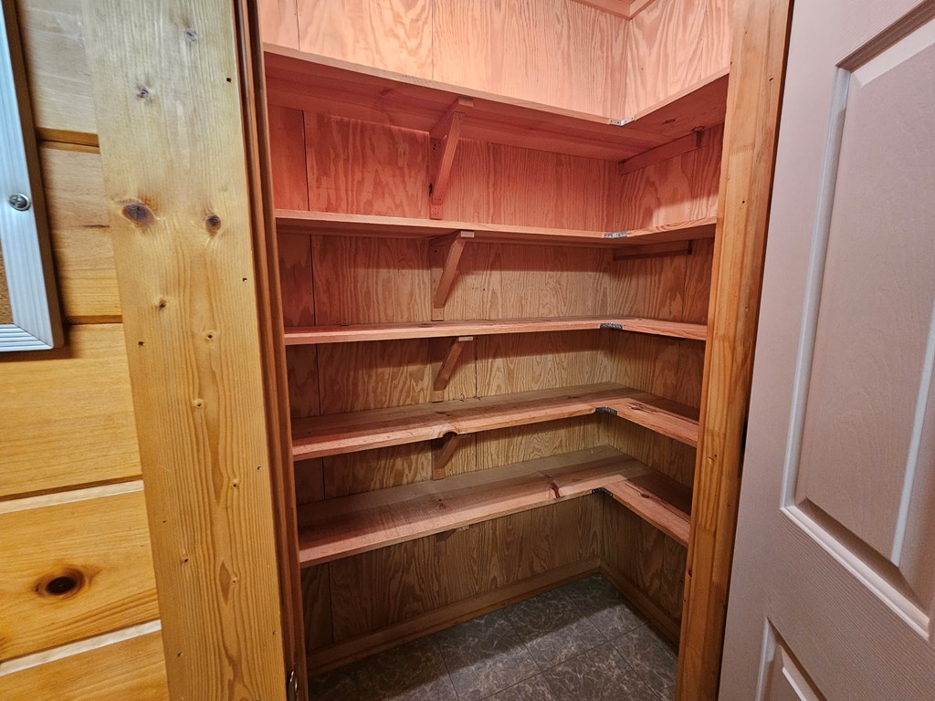 1705 Homer Wright Road Talking Rock, GA 30175 - Photo 25 of 98 a view of walk in closet