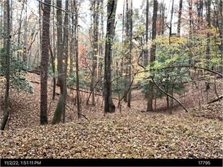 1705 Homer Wright Road Talking Rock, GA 30175 - Photo 27 of 98