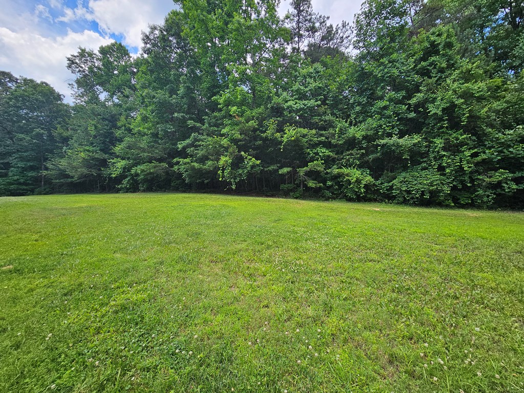 1705 Homer Wright Road Talking Rock, GA 30175 - Photo 3 of 98