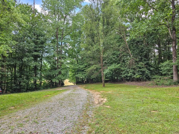 1705 Homer Wright Road Talking Rock, GA 30175 - Photo 31 of 98 a view of a field with trees in the background