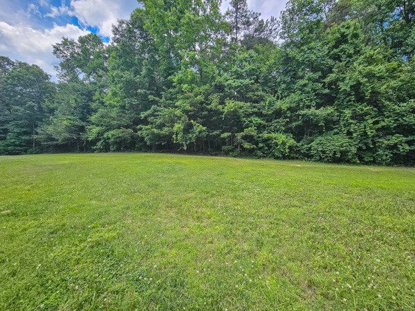 1705 Homer Wright Road Talking Rock, GA 30175 - Photo 43 of 98