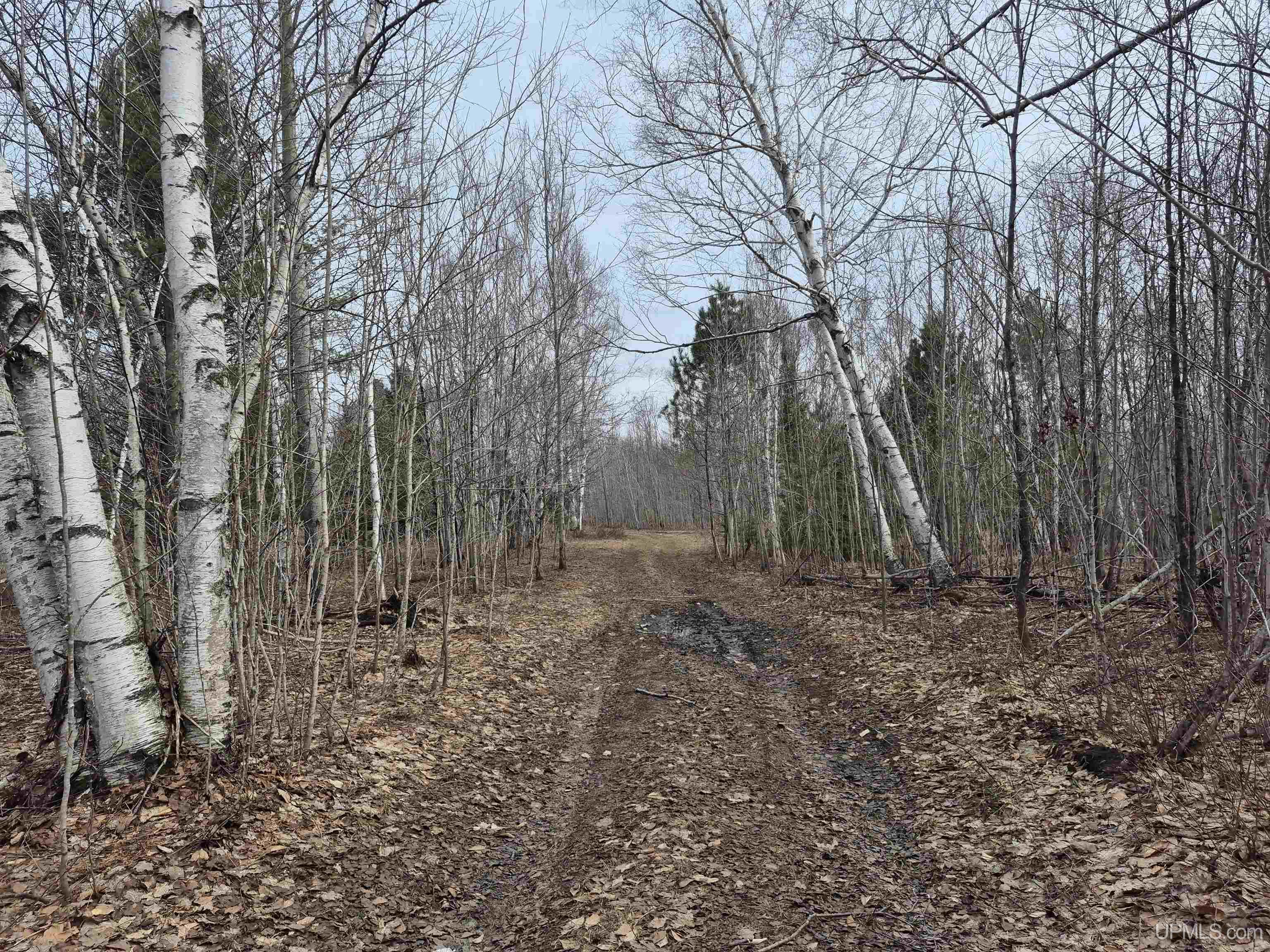 3754 Quarry Road Gulliver, MI 49840 - Photo 32 of 77