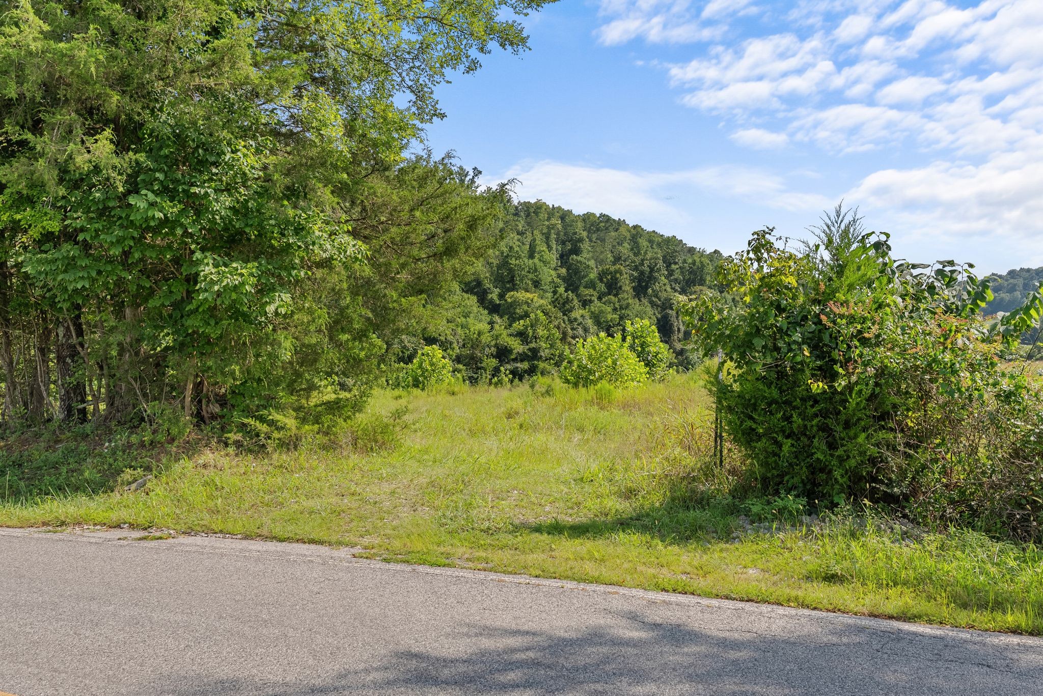 0 Sparkman Town-Bone Cave Road Doyle, TN 38559 - Photo 71 of 77 Gallery Image 71