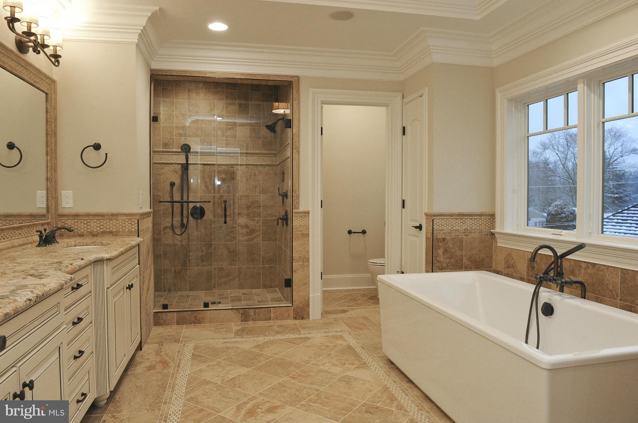 1717 Birch Road McLean, VA 22101 - Photo 20 of 30 Bath (Master)