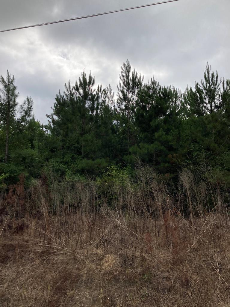 0 Willie Varnum Road Dothan, AL 36301 - Photo 1 of 8