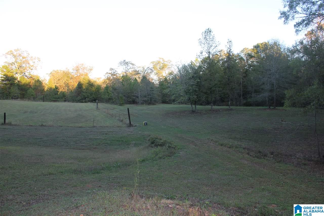 1790 Florida Road Pell City, AL 35125 - Photo 29 of 30