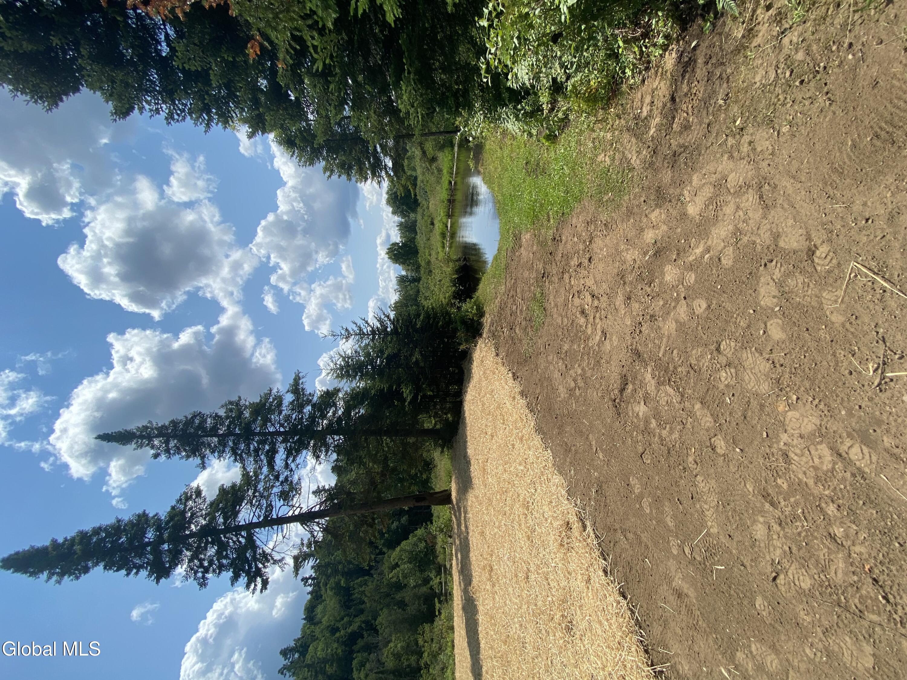 65 Curtis Drive St. Armand, NY 12913 - Photo 1 of 6 riverfront