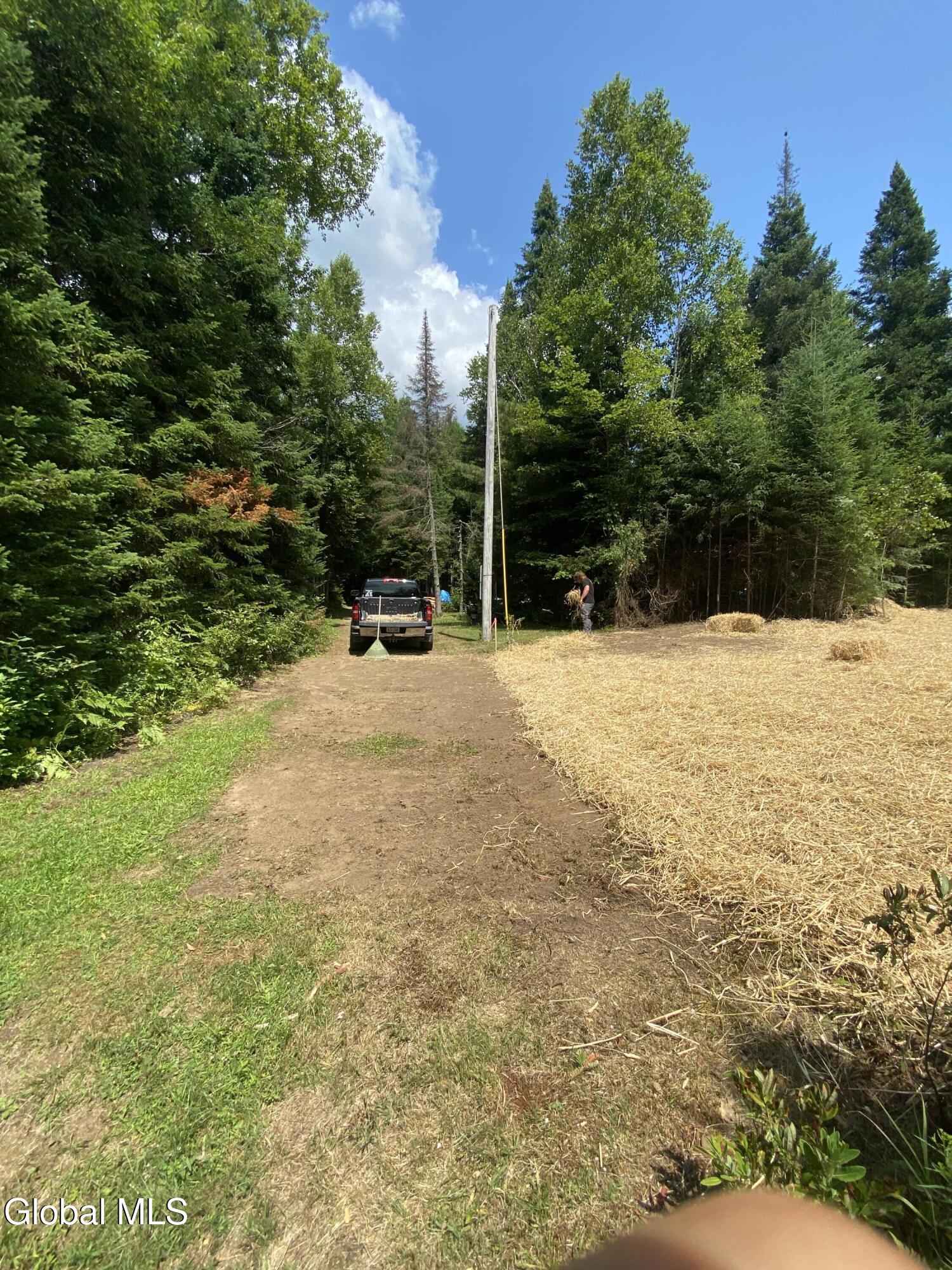 65 Curtis Drive St. Armand, NY 12913 - Photo 3 of 6 IMG_3490 (1)