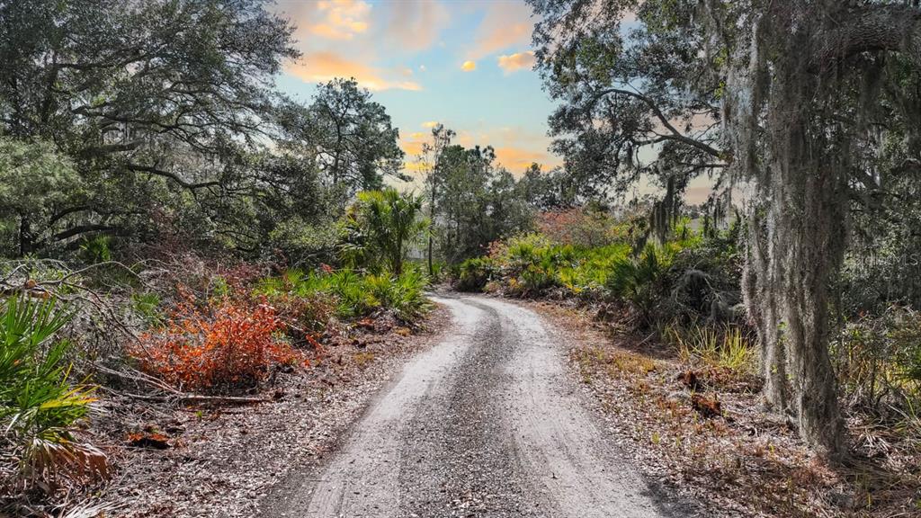12730 Bullfrog Creek Road Gibsonton, FL 33534 - Photo 37 of 41