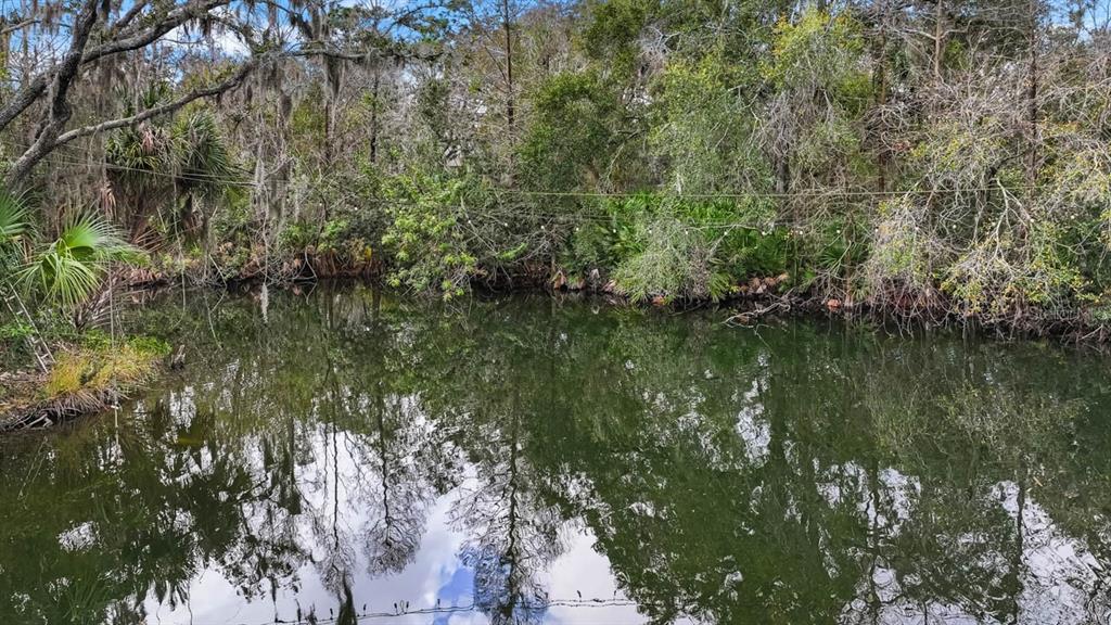 12730 Bullfrog Creek Road Gibsonton, FL 33534 - Photo 7 of 41