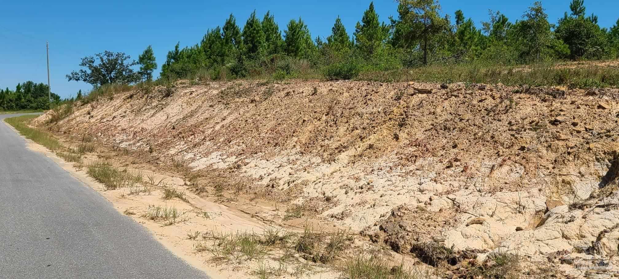 Lot 2 Molino Bridge Road Pace, FL 32571 - Photo 1 of 17 Gallery Image 1
