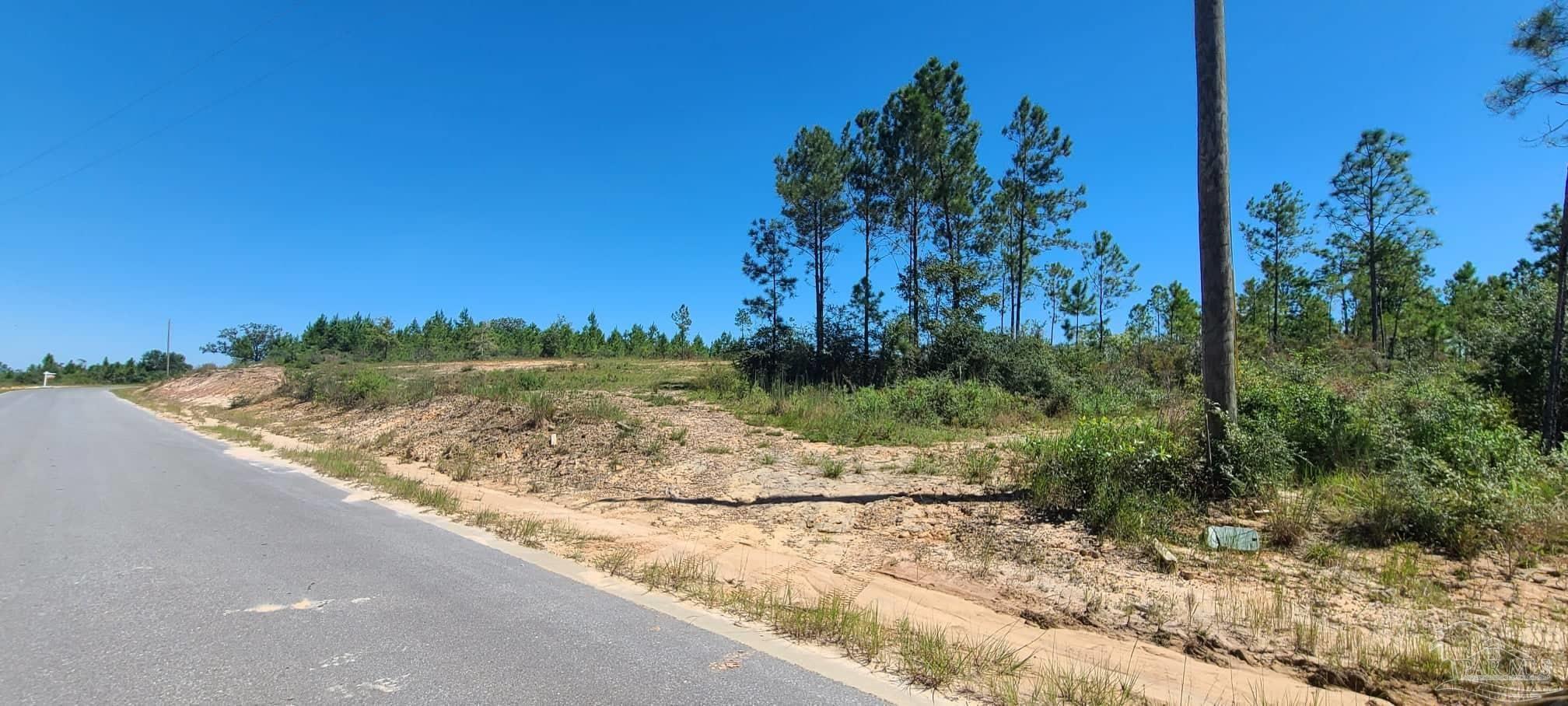 Lot 2 Molino Bridge Road Pace, FL 32571 - Photo 2 of 17 Gallery Image 2