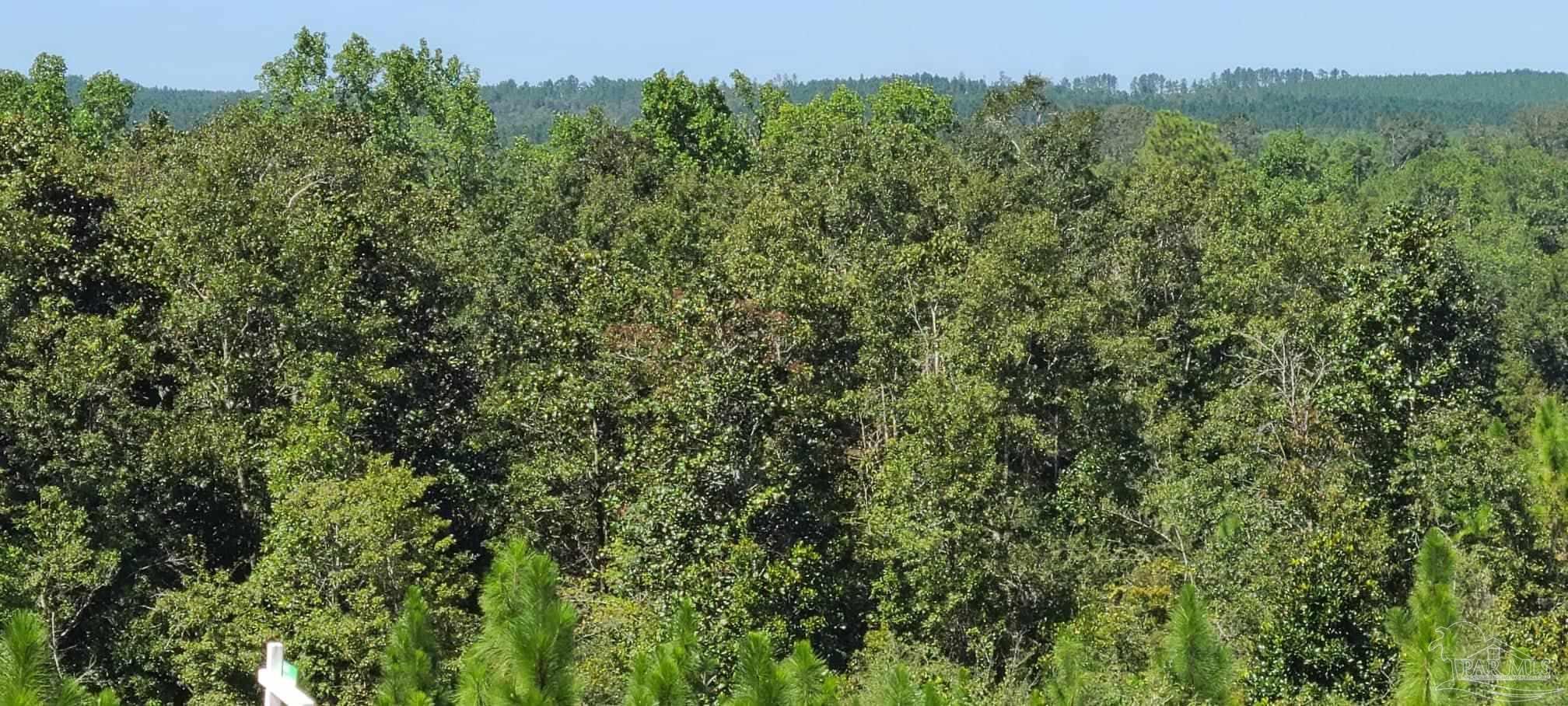 Lot 2 Molino Bridge Road Pace, FL 32571 - Photo 11 of 17 Gallery Image 11