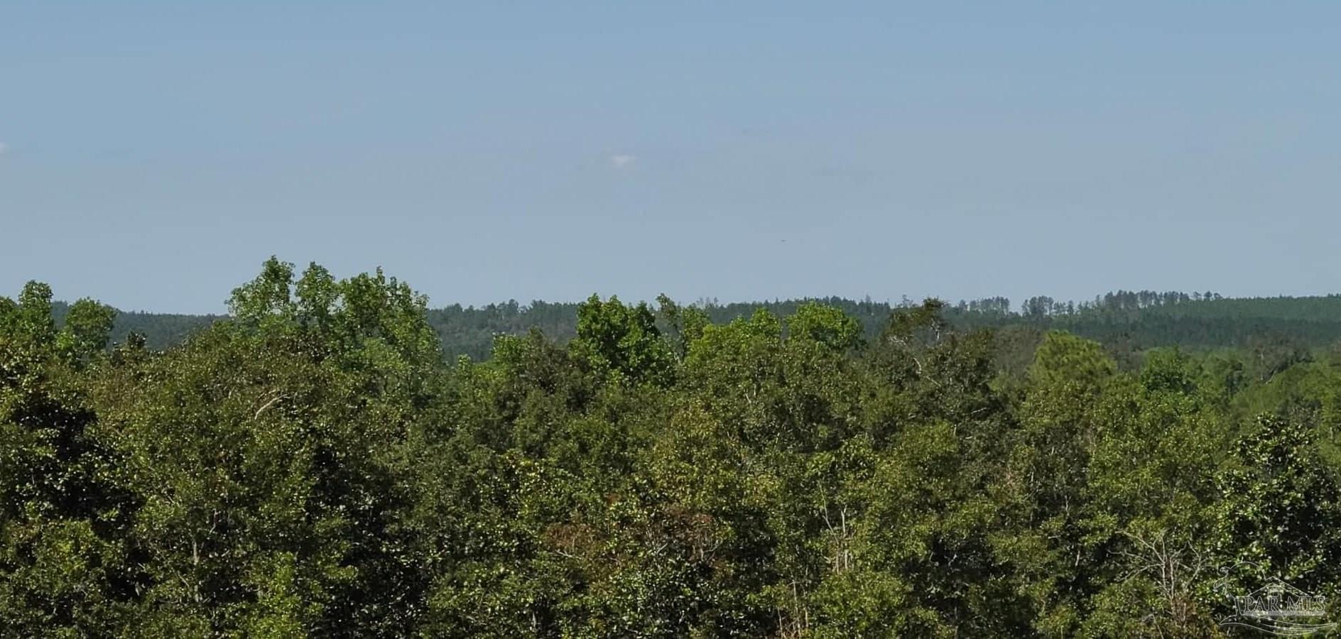 Lot 2 Molino Bridge Road Pace, FL 32571 - Photo 12 of 17 Gallery Image 12