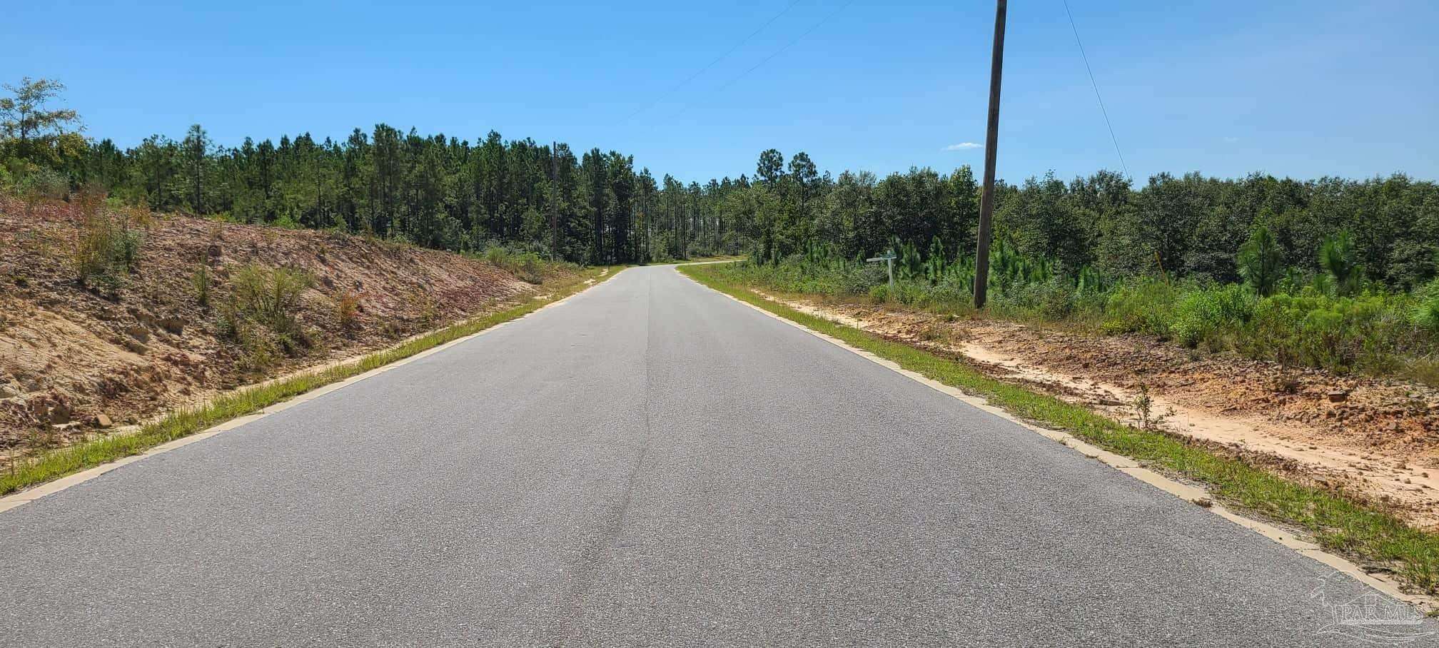 Lot 2 Molino Bridge Road Pace, FL 32571 - Photo 14 of 17 Gallery Image 14