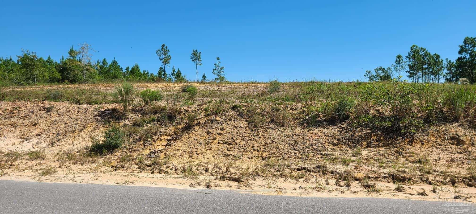 Lot 2 Molino Bridge Road Pace, FL 32571 - Photo 15 of 17 Gallery Image 15