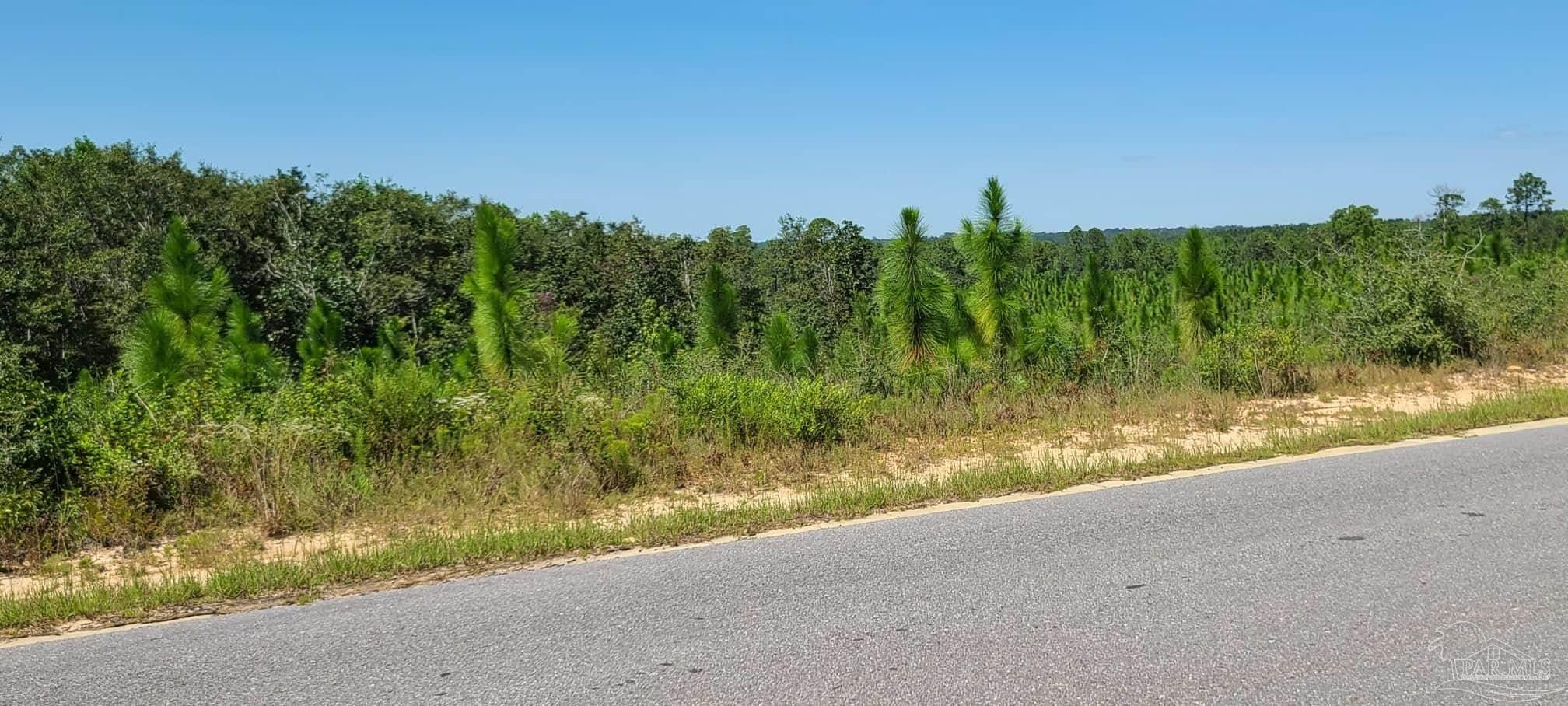 Lot 2 Molino Bridge Road Pace, FL 32571 - Photo 16 of 17 Gallery Image 16