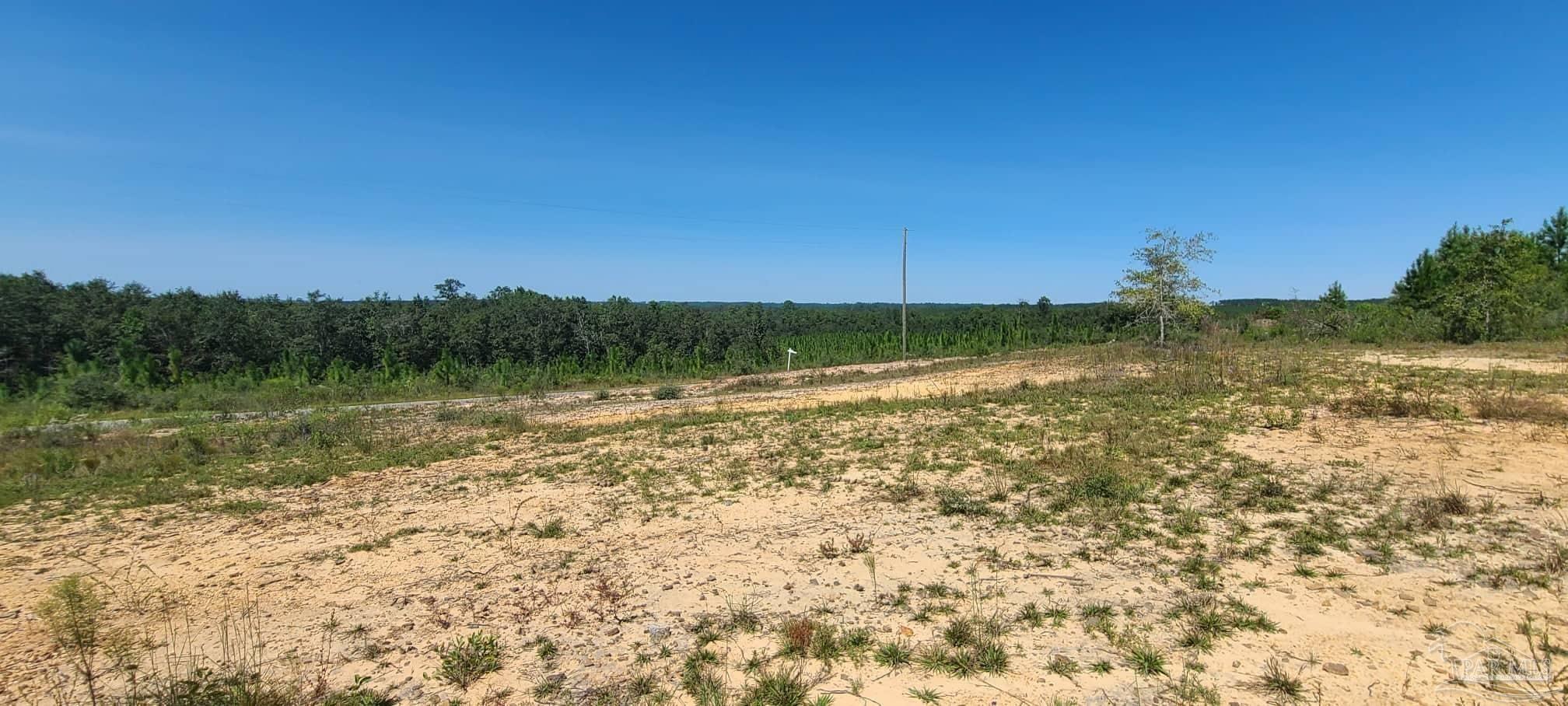 Lot 2 Molino Bridge Road Pace, FL 32571 - Photo 3 of 17 Gallery Image 3