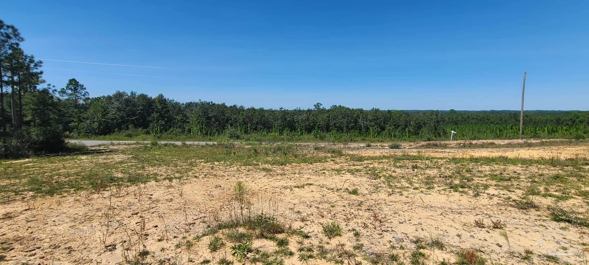 Lot 2 Molino Bridge Road Pace, FL 32571 - Photo 4 of 17 Gallery Image 4