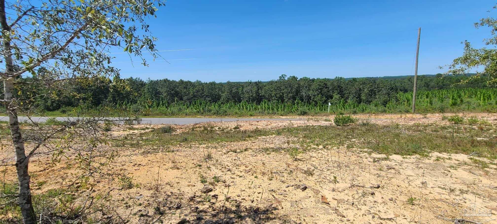 Lot 2 Molino Bridge Road Pace, FL 32571 - Photo 5 of 17 Gallery Image 5